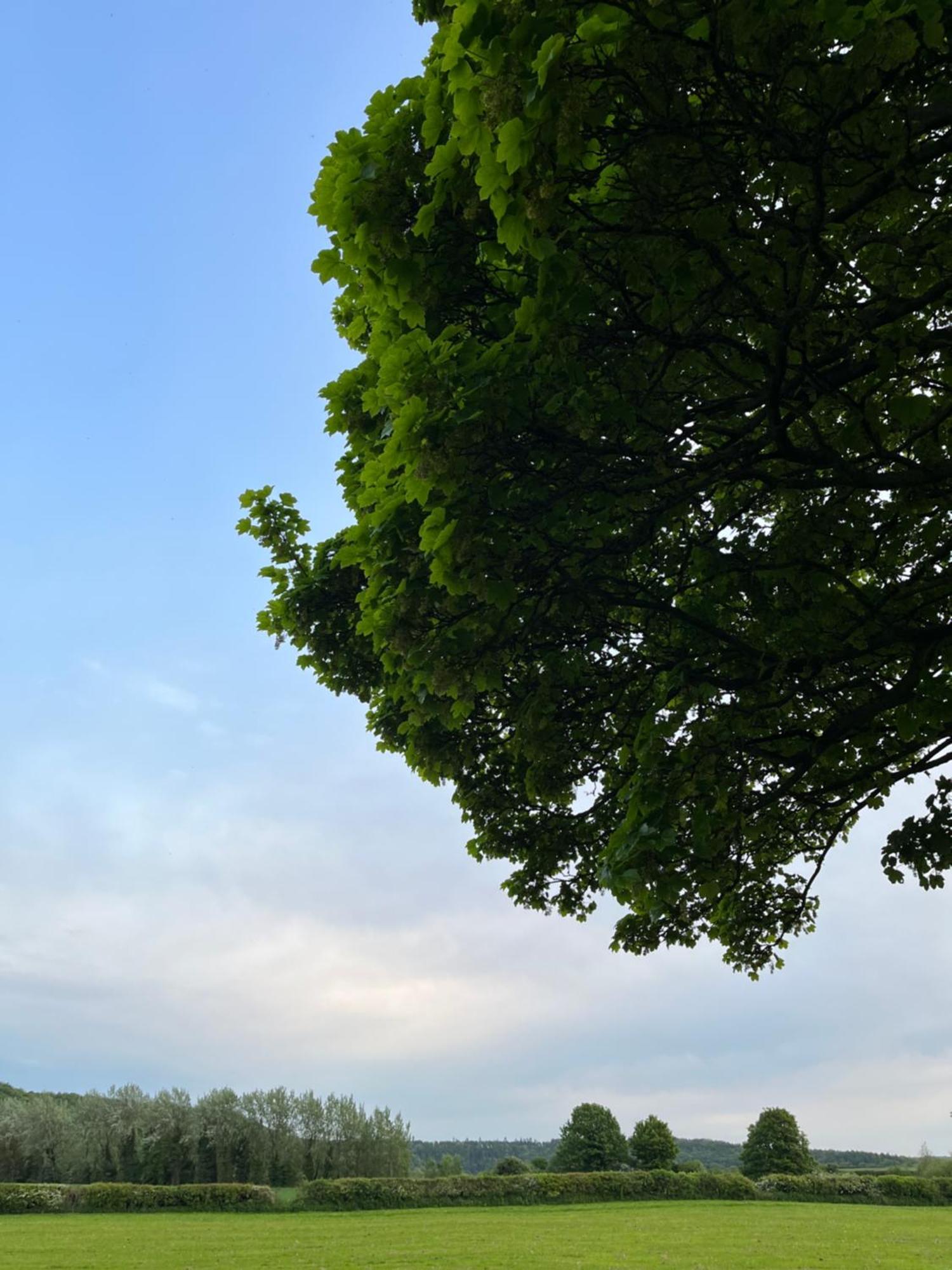 Vila Unbox At Poplar Tree Durham Exteriér fotografie